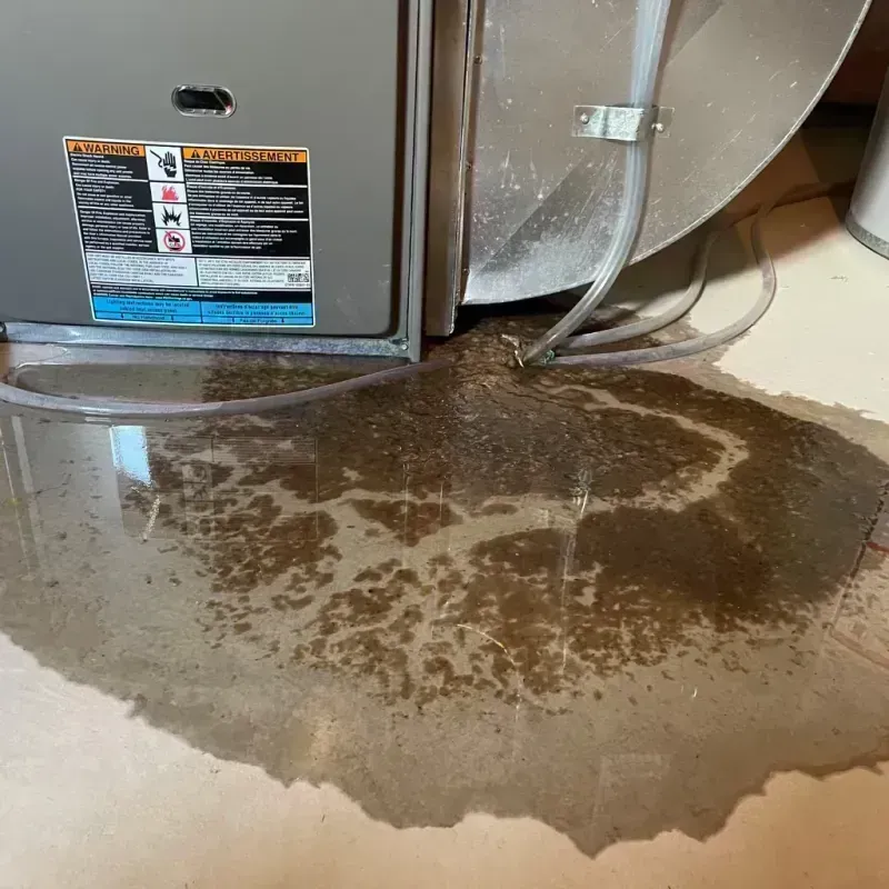 Appliance Leak Cleanup in McMillin, WA